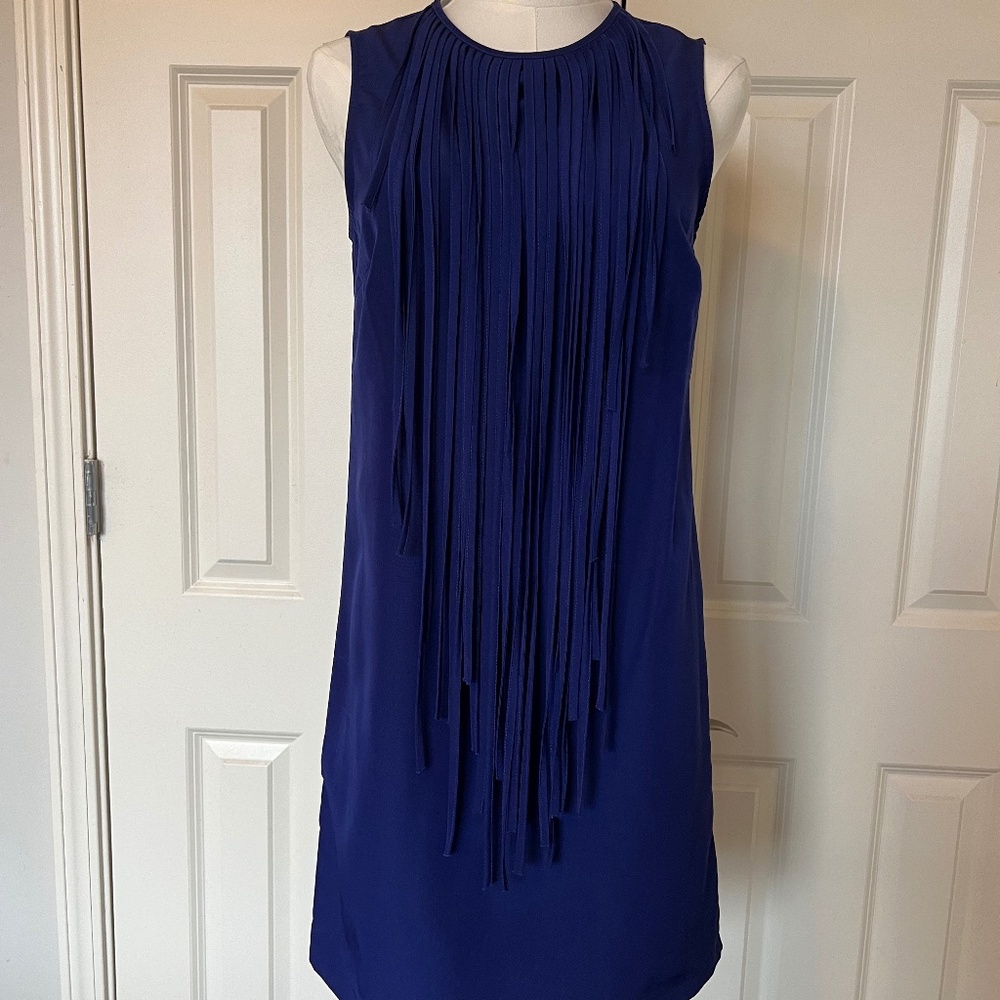 Zara Basic Fringe Dress